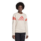 Adidas Essentials Graphic Crewneck Sweatshirt