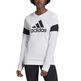 Adidas Essentials Graphic Crewneck Sweatshirt