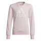 Adidas Girls Essentials Big Logo Sweatshirt