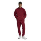 Adidas Sudadera con capucha  Future Icons Small Logo "Red"