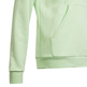 Adidas Junior Big Logo Essentials Cotton Hoodie "Green Mint"