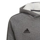 Adidas Junior Core 18 How You Doin? Hoody