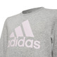 Adidas Kids Essentials Sweatshirt
