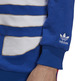 Adidas Originals Big Trefoil Outline Colorblock Hoodie