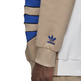 Adidas Originals Big Trefoil Outline Colorblock Hoodie