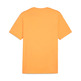 Camiseta Puma GRAPHICS Mountain "Clementine"