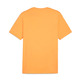 Camiseta Puma GRAPHICS Mountain "Clementine"