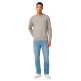 Sudadera Ligera de Cuello Champion Icons Tonal Logo "Warm Grey"