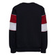 Champion Kids Classic Modular Blocking Color Crewneck Sweatshirt