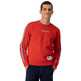 Champion Legacy Basketball Contrast Details Fleece Sweatshirt "Red"