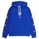 Champion MLB New York Yankees Cosy Fit Terry Hoodie