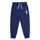 Champion Rochester Bookstore Heavy Fleece Joggers "Navy"