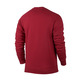 Jordan Flight Crew Sweatshirt (687/gym red/black)
