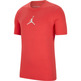 Jordan Jumpman Dri-FIT Short-Sleeve Crew