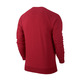 Jordan Seasonal Graphic Crew Sweatshirt (687/gym red/white)