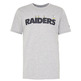 New Era NFL Snoopy Oakland Raiders X Peanuts T-shirt "Grey"
