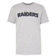 New Era NFL Snoopy Oakland Raiders X Peanuts T-shirt "Grey"