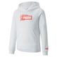 Puma Girls Alpha Hoodie FL