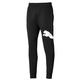 Puma Big Logo Pants FL