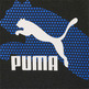 Puma CLASSICS GEN. PUMA Shorts 8" TR "Black"