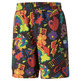 Puma DOWNTOWN PRIDE AOP Shorts "Multicolor"