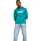 Puma ESS+ 2 Col Big Logo Hoodie FL