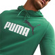 Puma ESS+ 2 Col Big Logo Hoodie TR