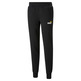 Puma ESS+ 2 Col Logo Pants FL cl