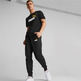 Puma ESS+ 2 Col Logo Pants FL cl