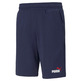 Puma ESS+ 2 Col Shorts