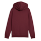 Puma ESS 2 COLOR Logo Hoodie FL "Ruby Shimmer"