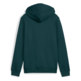Puma ESS 2 COLOR Logo Hoodie "Green Terrain"
