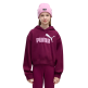Sudadera Puma ESS 2 COLOR No. 1 Logo​ FL G "Fuchsia Glow"