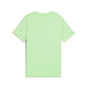 Puma ESS 2 COLOR Small No. 1 Logo Tee B "Spring Fern"