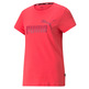 Puma Essentials Logo Tee