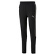 Puma Evostripe Pants