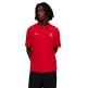 Polo Puma Ferrari Cloudspun  "Red"