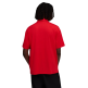 Polo Puma Ferrari Cloudspun  "Red"