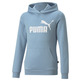 Puma Girls ESS Logo Hoodie FL