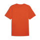 Puma GRAPHICS Sneaker Tee "Redmazing"