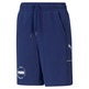 Puma Junior Alpha Shorts