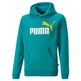 Puma Junior ESS+ 2 Col Big Logo Hoodie FL