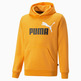 Puma Junior ESS+ 2 Col Big Logo Hoodie FL