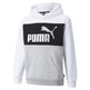 Puma Junior ESS+ Colorblock Hoodie