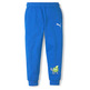 Puma Kids Fruitmates Sweatpants TR cl "Victoria Blue"