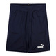 Puma Short Polyester Set B