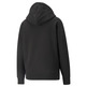 Puma SWxP Graphic Hoodie TR