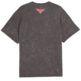 Camiseta Puma X LaMelo Star Vision Graphic Tee "Dusky Gray"