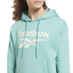 Reebok Identity Logo Fleece Pullover Hoodie