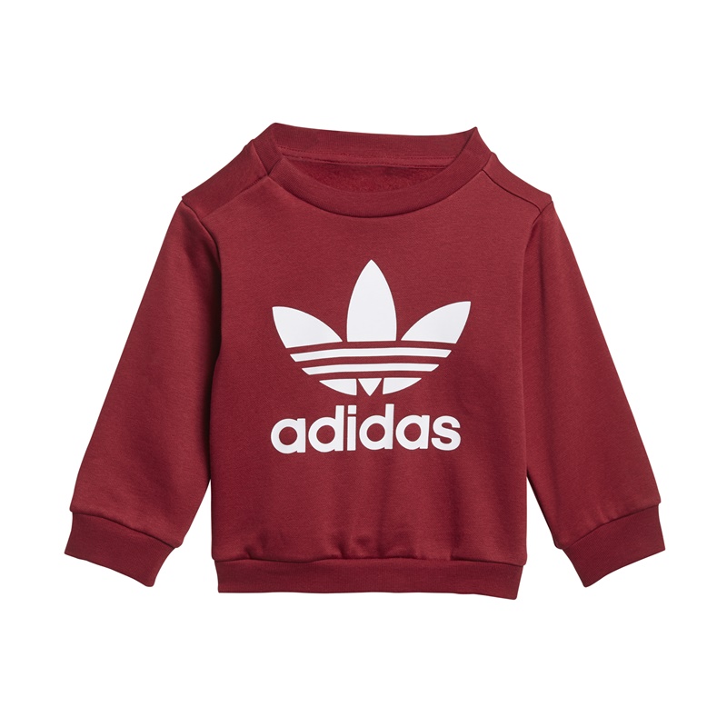 Trefoil adidas костюм
